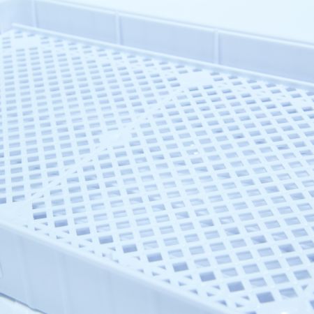 Инкубатор HHD 12 мини автоматический с овоскопом на 12 яиц