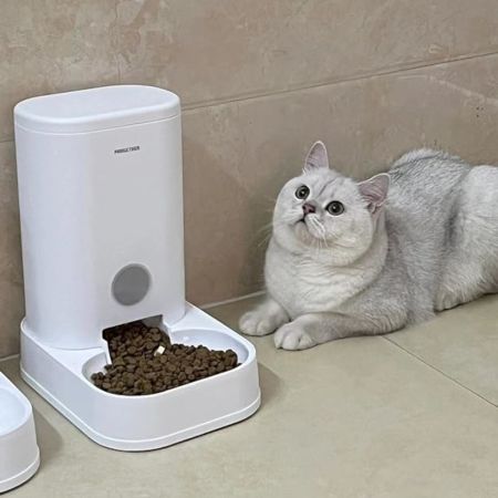 Автоматическая кормушка для собак и кошек Pawgether FG100 дозатор 3,5 л Автоматическая кормушка для собак и кошек Pawgether FG100 дозатор 3,5 л