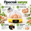 Инкубатор HHD 7 мини автоматический на 7 яиц