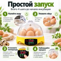 Инкубатор HHD 7 мини автоматический на 7 яиц