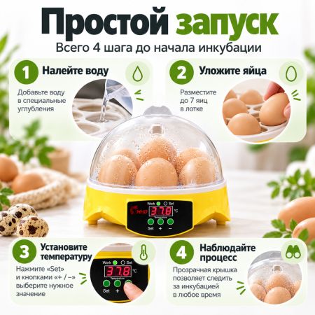 Инкубатор HHD 7 мини автоматический на 7 яиц