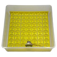 Инкубатор HHD 56 автоматический 220В/12В от сети и аккумулятора на 56 яиц