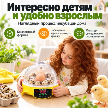 Инкубатор HHD 7 мини автоматический на 7 яиц
