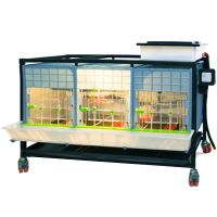 Брудер для цыплят CB40 3 секции, 91x64x49 см, пластиковый