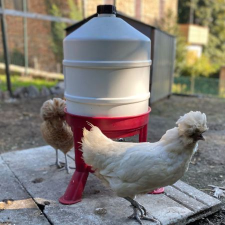 Поилка сифонная 30 л GOLD пластиковые ножки