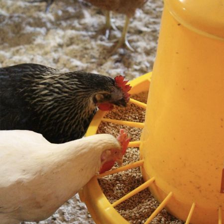 Кормушка бункерная 7 кг пластик с разделительной решеткой