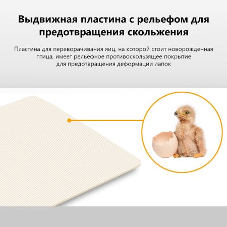 Инкубатор Rcom 20 DO PRO автоматический для яиц с овоскопом Инкубатор Rcom 20 DO PRO автоматический для яиц с овоскопом