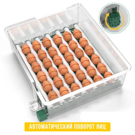 Инкубатор для яиц автоматический Des Champs ECO PROFI C-36 от сети и аккумулятора с роликовым лотком и овоскопом на 36 яиц