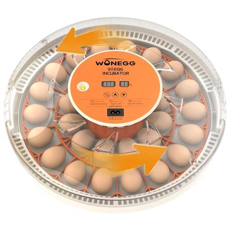 Инкубатор HHD 30H WONEGG автоматический с овоскопом на 30 яиц