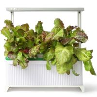 Гидропонная установка HobbyFarm DQ62005, домашний умный смарт сад, 5 ячеек с фитолампой