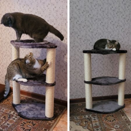 Когтеточка-лежак 3 этажа 46х30х65 см, серый