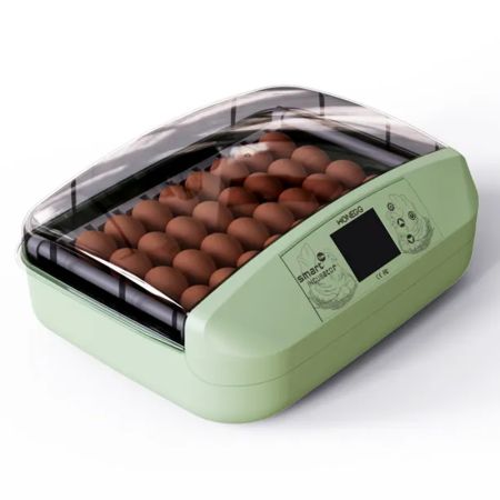 Инкубатор HHD 32 Wonegg автоматический для яиц с роликовым лотком, зеленый, на 32 яйца Инкубатор HHD 32 Wonegg автоматический для яиц с роликовым лотком, зеленый, на 32 яйца