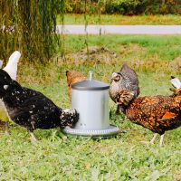 Кормушка бункерная 5 кг оцинкованная сталь