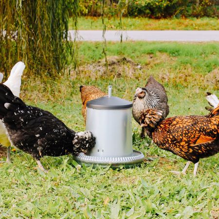 Кормушка бункерная 5 кг оцинкованная сталь