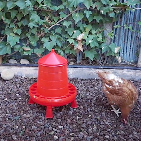 Кормушка бункерная 16 кг пластик с решеткой с круглыми отверстиями на ножках