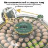 Инкубатор HHD 52H WONEGG автоматический 220В/12В от сети и аккумулятора, с овоскопом на 52 яйца