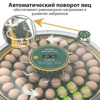 Инкубатор HHD 52H WONEGG автоматический 220В/12В от сети и аккумулятора, с овоскопом на 52 яйца