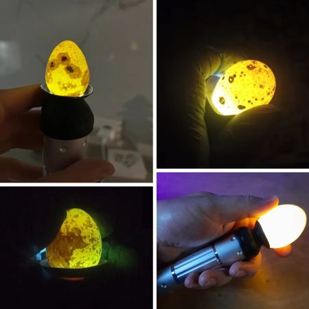 Овоскоп Rcom Candler 200 для яиц