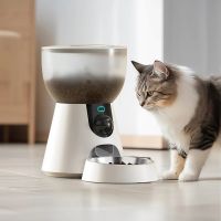 Автокормушка Petwant F17C 4 л  для сухого корма с HD камерой, миска из нержавеющей стали, белая Автокормушка Petwant F17C 4 л  для сухого корма с HD камерой, миска из нержавеющей стали, белая