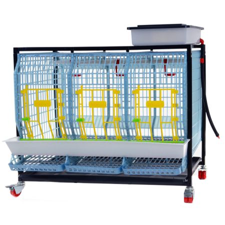 Клетка Comfortplast для кур-несушек 3 секции, 1 ярус высотой 60 см, пластиковая