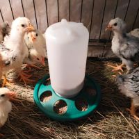 Кормушка бункерная 1 кг с круглыми отверстиями /7 ячеек для цыплят