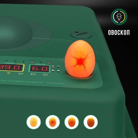 Инкубатор для яиц автоматический Des Champs ECO PROFI C-36 от сети и аккумулятора с роликовым лотком и овоскопом на 36 яиц