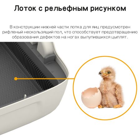 Инкубатор Rcom King Suro 20 MAX автоматический для яиц Инкубатор Rcom King Suro 20 MAX автоматический для яиц