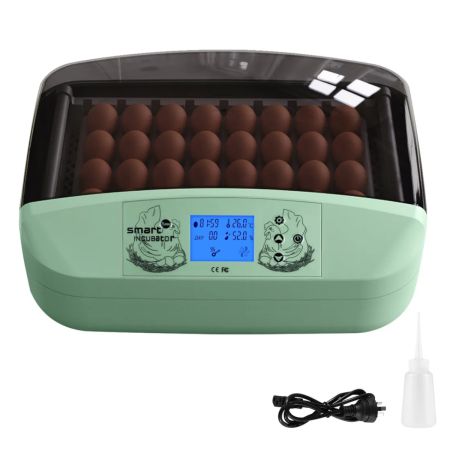 Инкубатор HHD 32 Wonegg автоматический для яиц с роликовым лотком, зеленый, на 32 яйца Инкубатор HHD 32 Wonegg автоматический для яиц с роликовым лотком, зеленый, на 32 яйца