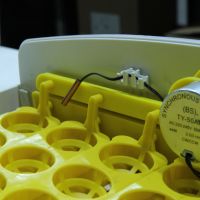 Инкубатор HHD 42 автоматический с овоскопом на 42 яйца