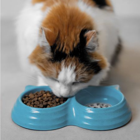 Миска двойная для собак и кошек из бамбукового волокна, 23x12.5x4 см, 150+150 мл, голубой