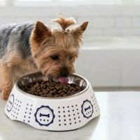 Миска со съемной чашей из нержавейки для собак и кошек, 180 мл, косточка