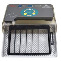 Инкубатор HHD 12 мини автоматический с овоскопом на 12 яиц