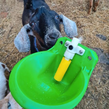Поилка чашечная автоматическая с клапаном для овец, коз, баранов, козлят Поилка чашечная автоматическая с клапаном для овец, коз, баранов, козлят