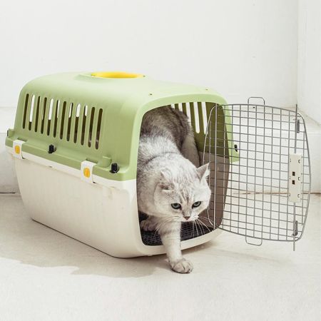 Переноска Transport 51.5x34.5x34 см для кошек и собак Pet Choice, стандарт IATA, зеленая