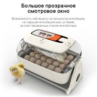 Инкубатор Rcom King Suro 20 MAX автоматический для яиц Инкубатор Rcom King Suro 20 MAX автоматический для яиц