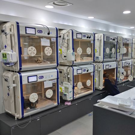 Брудер Curadle Smart incubator PRO 160