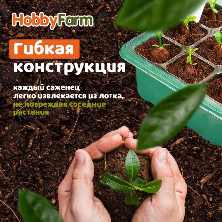 Мини парник с подсветкой HobbyFarm, 12 ячеек, набор кассет для рассады, 5 шт.