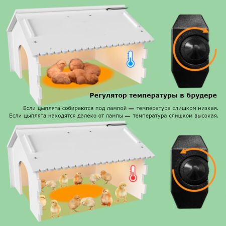Брудер Janoel 4050 для цыплят с регулятором мощности