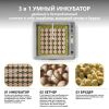 Инкубатор HHD 36 автоматический с овоскопом на 36 яиц
