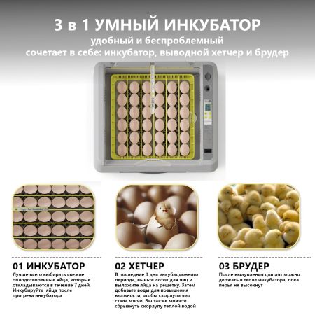 Инкубатор HHD 36 автоматический с овоскопом на 36 яиц