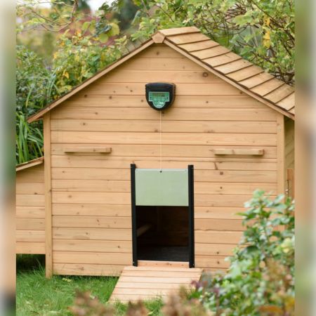 Автоматический открыватель двери Chicksafe Advance с таймером для курятника