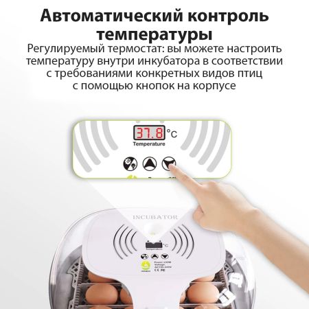 Инкубатор HHD 16 Wonegg мини автоматический с овоскопом на 16 яиц