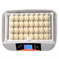 Инкубатор HHD 32 автоматический для яиц с роликовым лотком