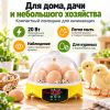Инкубатор HHD 7 мини автоматический на 7 яиц