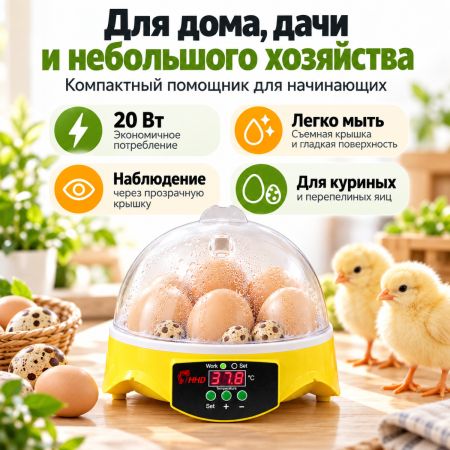 Инкубатор HHD 7 мини автоматический на 7 яиц
