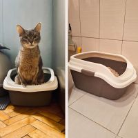 Лоток для кошек с высокими бортиками Sanitaire Range 51х39х24 см, коричневый