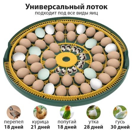 Инкубатор HHD 52H WONEGG автоматический 220В/12В от сети и аккумулятора, с овоскопом на 52 яйца