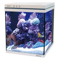 Аквариум с тумбой Boyu Intelligent MEZ-56, фильтры, LED освещение, WiFi управление со смартфона, 56 л