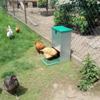 Кормушка педальная Feed-O-Matic 20 кг для кур