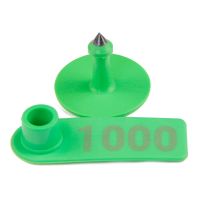 Бирка двойная 50х18 мм с номером, зелёная, прямоугольная, 100 шт. для свиней, коз, овец, собак и других животных